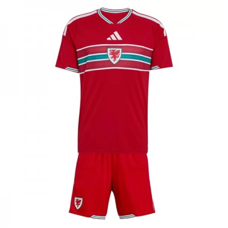 Walia Dziecięca Główna Koszulki Piłkarskie MŚ 2026 Krótki Rękaw (+ Krótkie spodenki) Walia Dziecięca Główna Koszulki Piłkarskie MŚ 2026 Krótki Rękaw (+ Krótkie spodenki)
