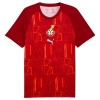 Ghana Pre-Match Koszulki Piłkarskie MŚ 2026 Krótki Rękaw Ghana Pre-Match Koszulki Piłkarskie MŚ 2026 Krótki Rękaw