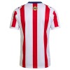 Chivas de Chivas de Guadalajara 120th Anniversary Koszulki Piłkarskie 2025-26 Krótki Rękaw