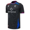 Crystal Palace Precz Koszulki Piłkarskie 2026-27 Krótki Rękaw Crystal Palace Precz Koszulki Piłkarskie 2026-27 Krótki Rękaw