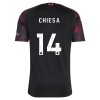 Liverpool Chiesa 14 Trzeciej Koszulki Piłkarskie 2026-27 Krótki Rękaw Liverpool Chiesa 14 Trzeciej Koszulki Piłkarskie 2026-27 Krótki Rękaw